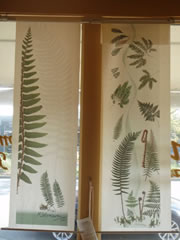 Panel Curtains Ferns